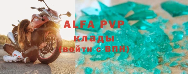 индика Бежецк