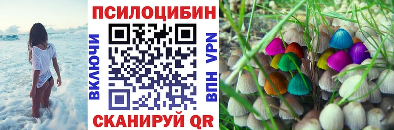 где купить наркотик  Никольское  Галлюциногенные грибы прущие грибы 